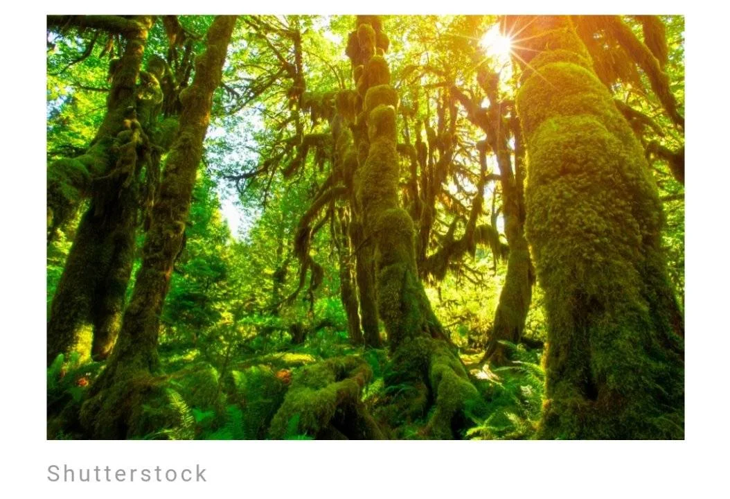 Screenshot_2023-06-10-08-39-21-062.webp
