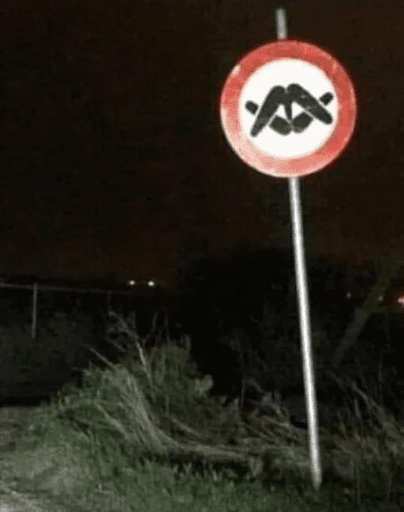 1686366377500.webp