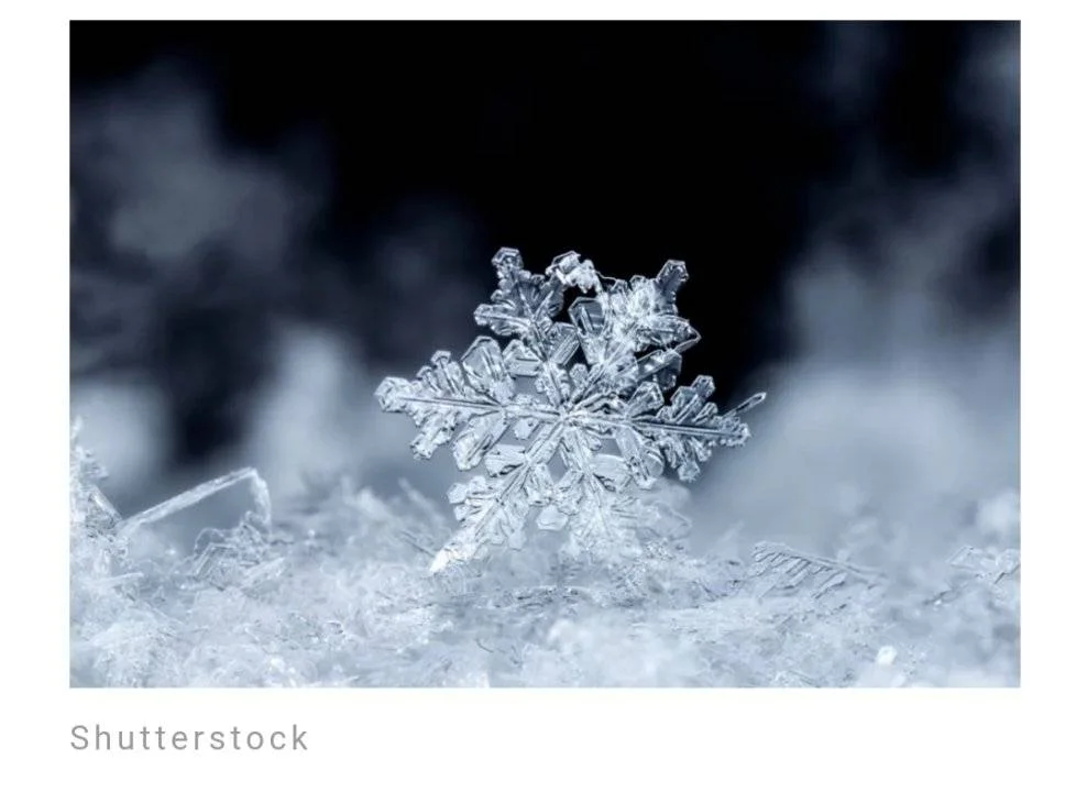 Screenshot_2023-06-10-11-47-51-073.webp