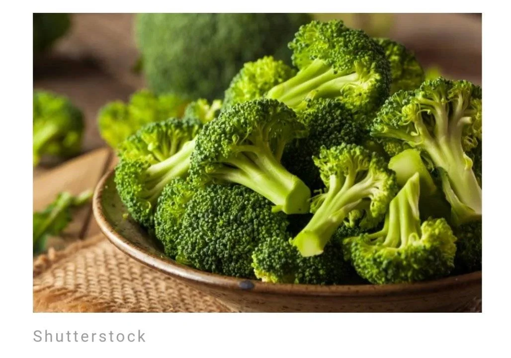 Screenshot_2023-06-10-11-54-31-506.webp