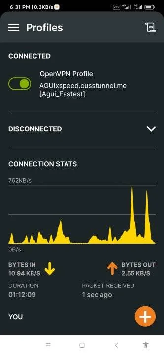 Screenshot_2023-06-10-18-31-57-931_net.openvpn.openvpn.webp