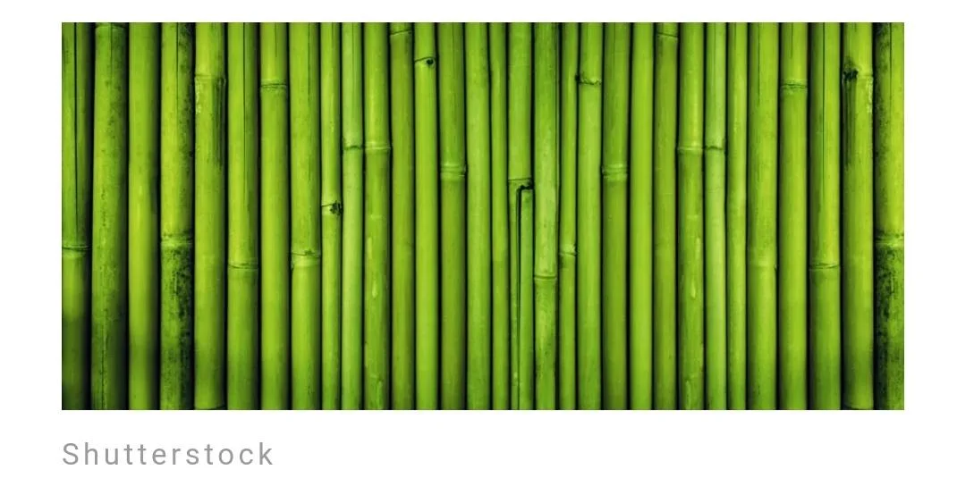 Screenshot_2023-06-10-23-41-38-008.webp