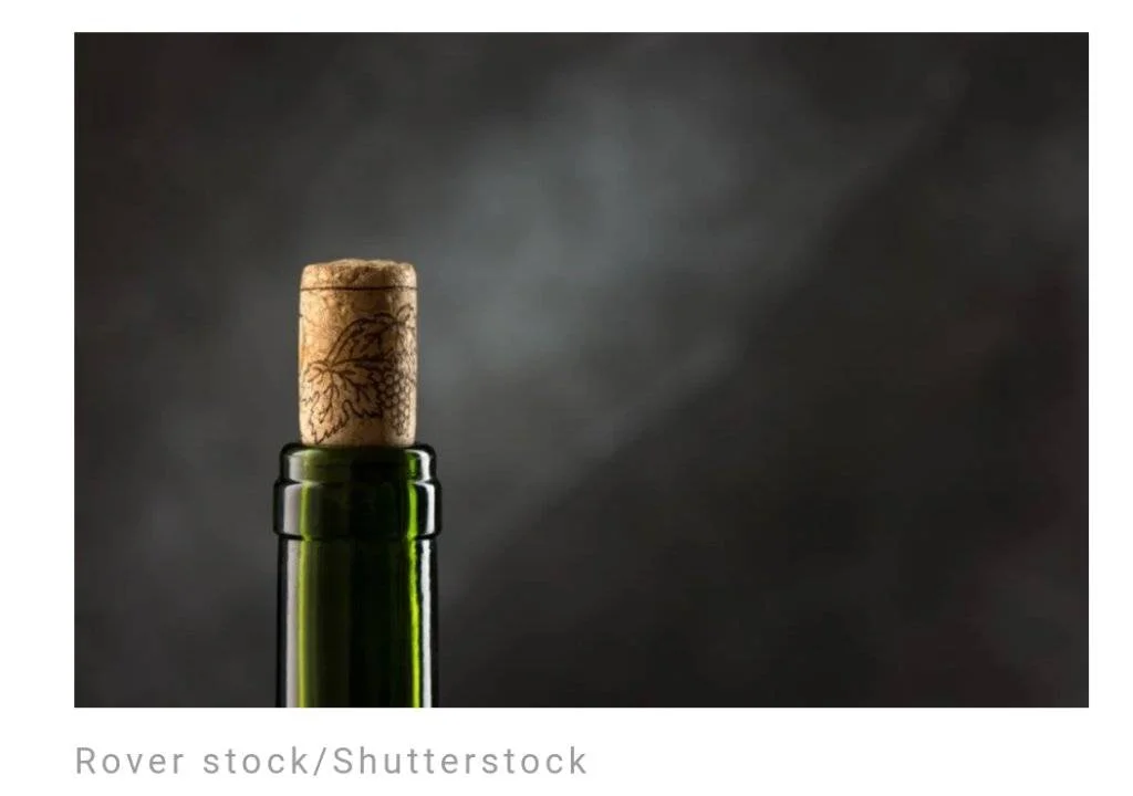 Screenshot_2023-06-10-23-57-37-519.webp