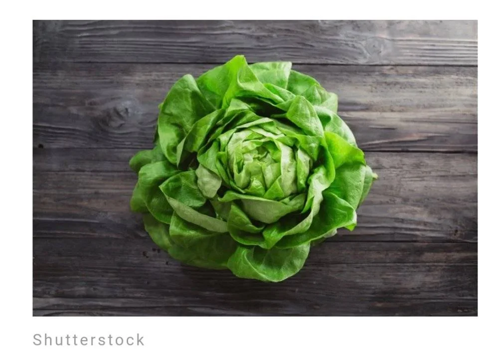 Screenshot_2023-06-11-00-14-33-099.webp
