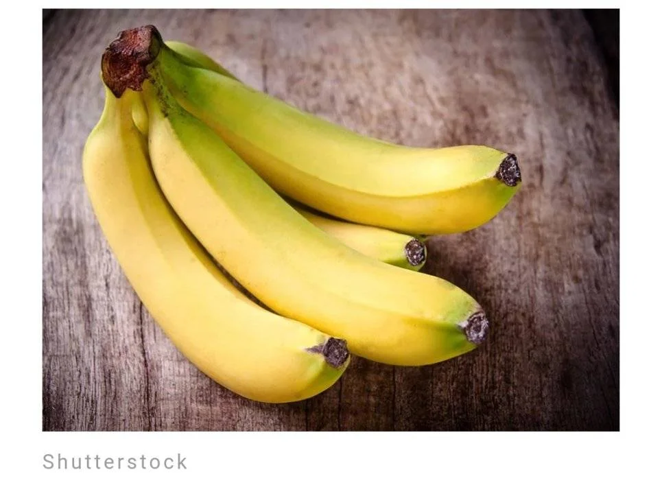 Screenshot_2023-06-11-00-33-00-047.webp