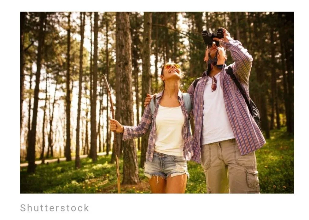 Screenshot_2023-06-11-22-44-33-803.webp