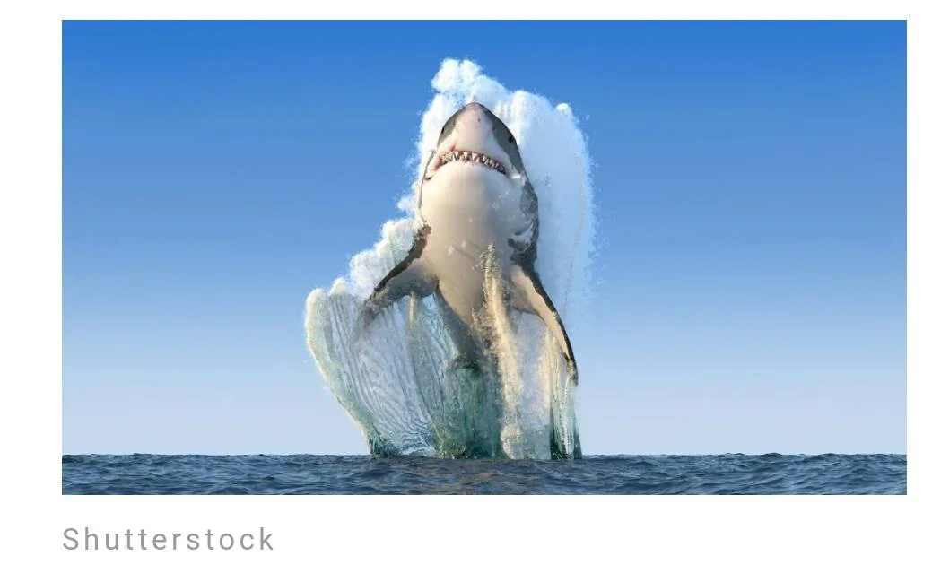 Screenshot_2023-06-13-09-38-55-480.webp