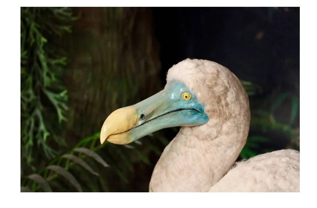 Screenshot_2023-06-13-09-45-51-081.webp