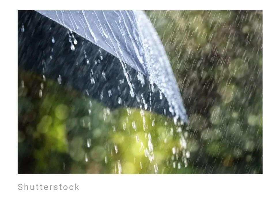 Screenshot_2023-06-13-15-36-49-743.webp