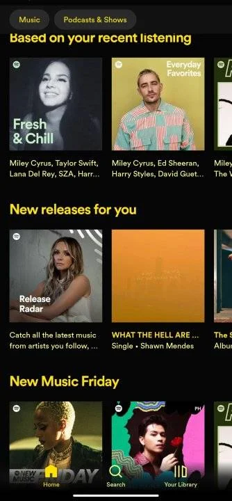 Screenshot_2023-06-16-00-43-03-987_com.spotify.music-edit.jpg