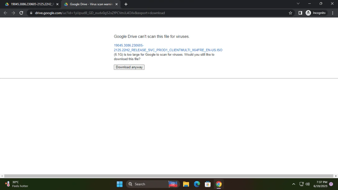 1687174689469.webp
