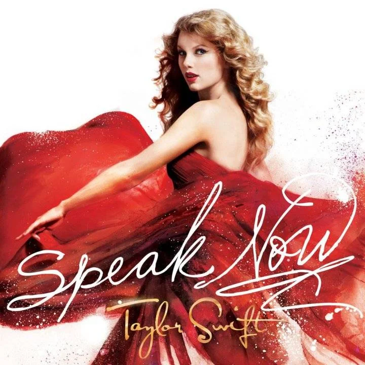 The Story Of Us by Taylor Swift (320 kbps)