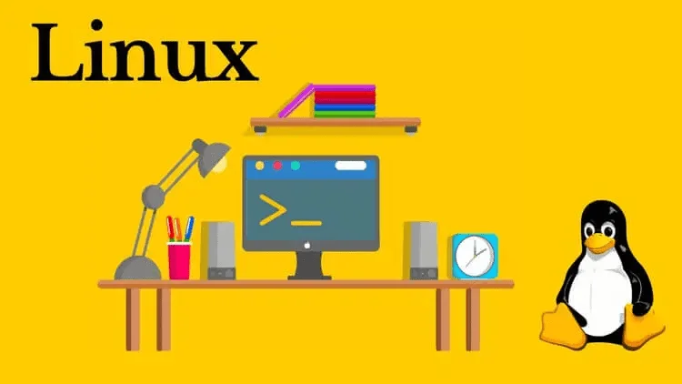 1687418142984.webp