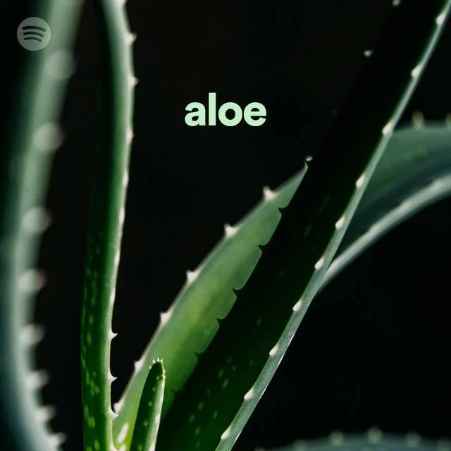 Aloe | Spotify Playlist [OGG 320 kbps vorbis] [TeraBox]