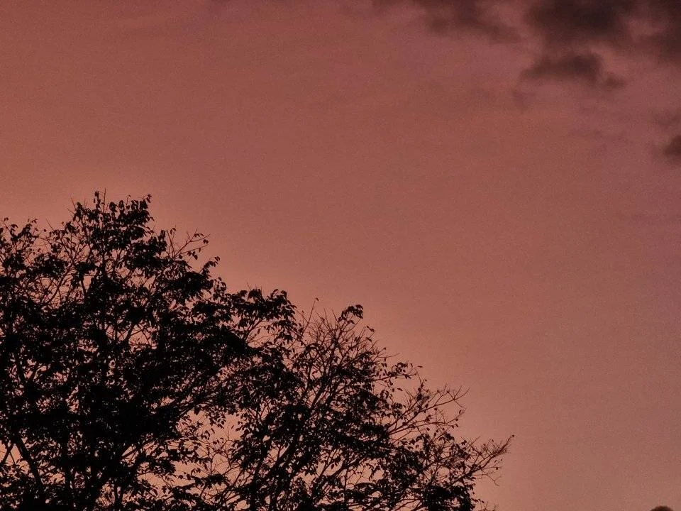 Sunset-Photo.webp