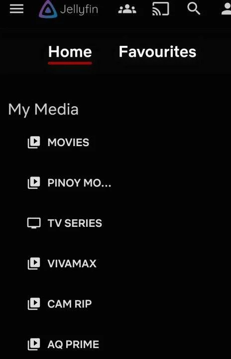 Screenshot_20230629_133226_Samsung Internet.webp