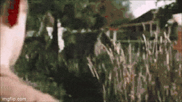 7r5y98.gif