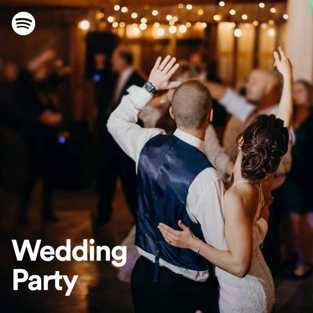 Wedding Party | Spotify Playlist [OGG 320 kbps vorbis] [TeraBox]