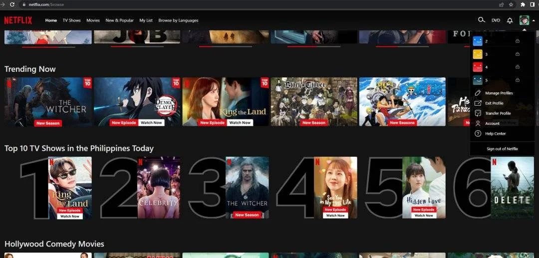 netflixxxxx.jpg