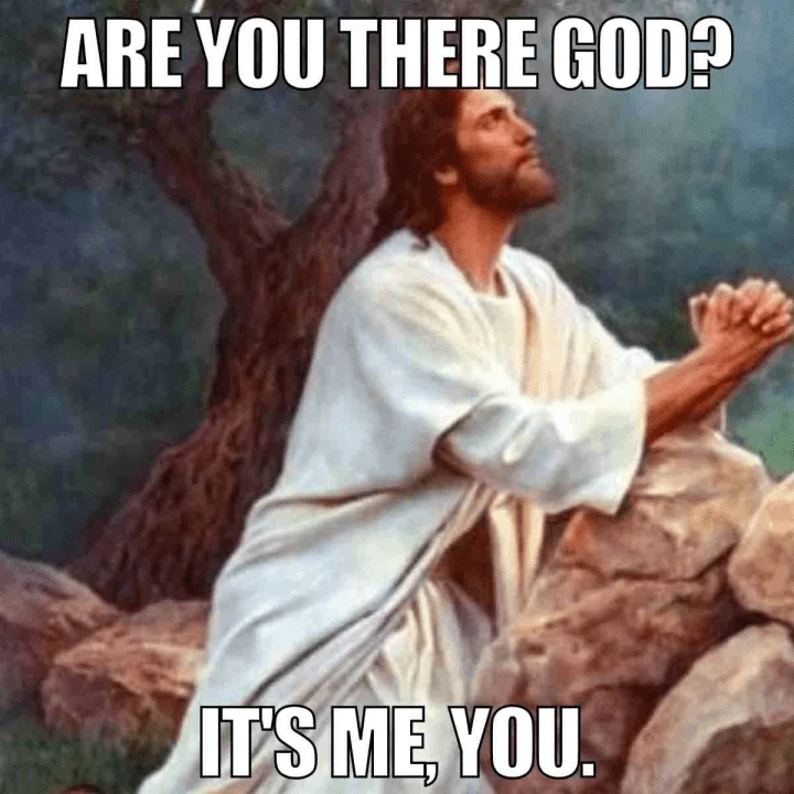 1688535570373.png