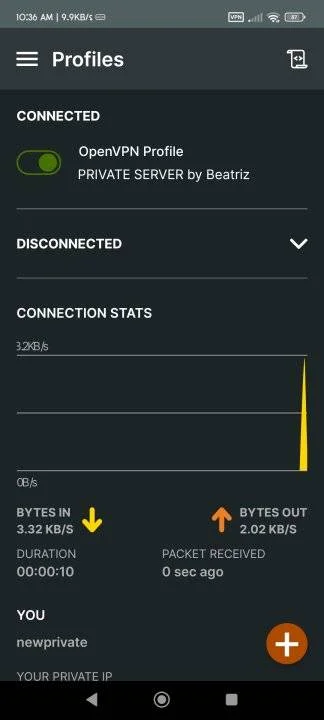 Screenshot_2023-07-06-10-36-46-493_net.openvpn.openvpn.webp