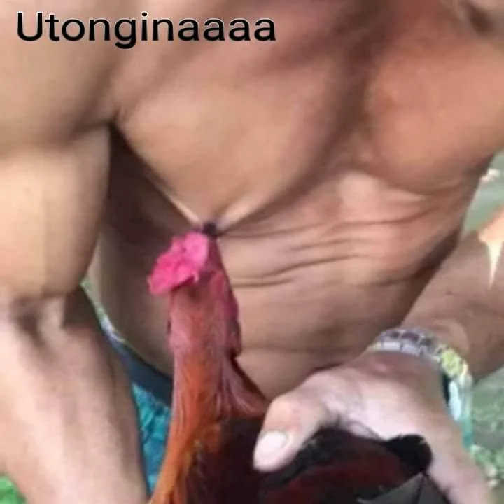 7251835263322770694.webp