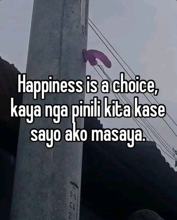 1688656164211.webp