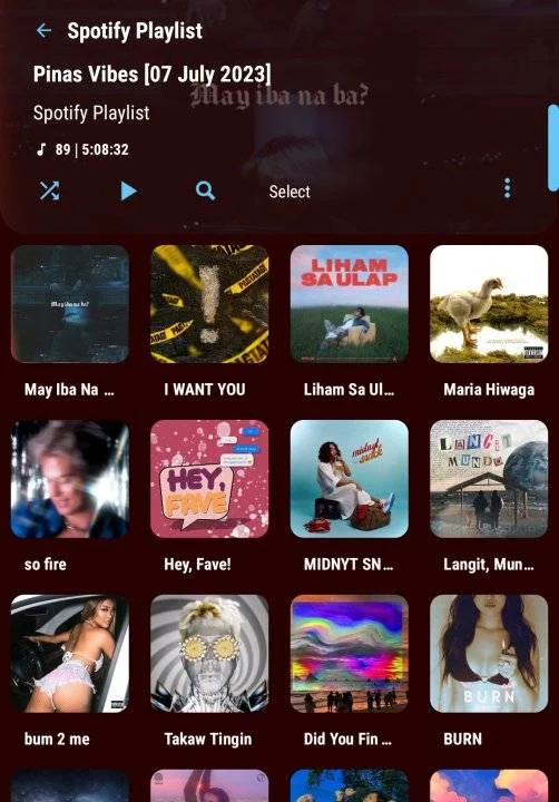 Screenshot_20230707_110828_Poweramp.jpg
