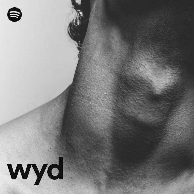 Wyd | Spotify [OGG 320 kbps vorbis] [TeraBox]