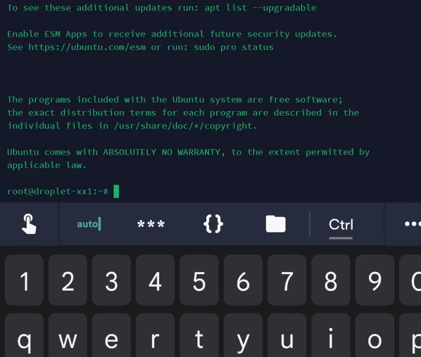 Screenshot_2023-07-09-22-14-04-248_com.server.auditor.ssh.client.webp