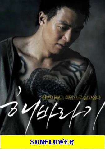 Sunflower (EngSub)