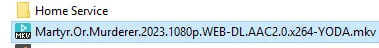 1689228499045.webp