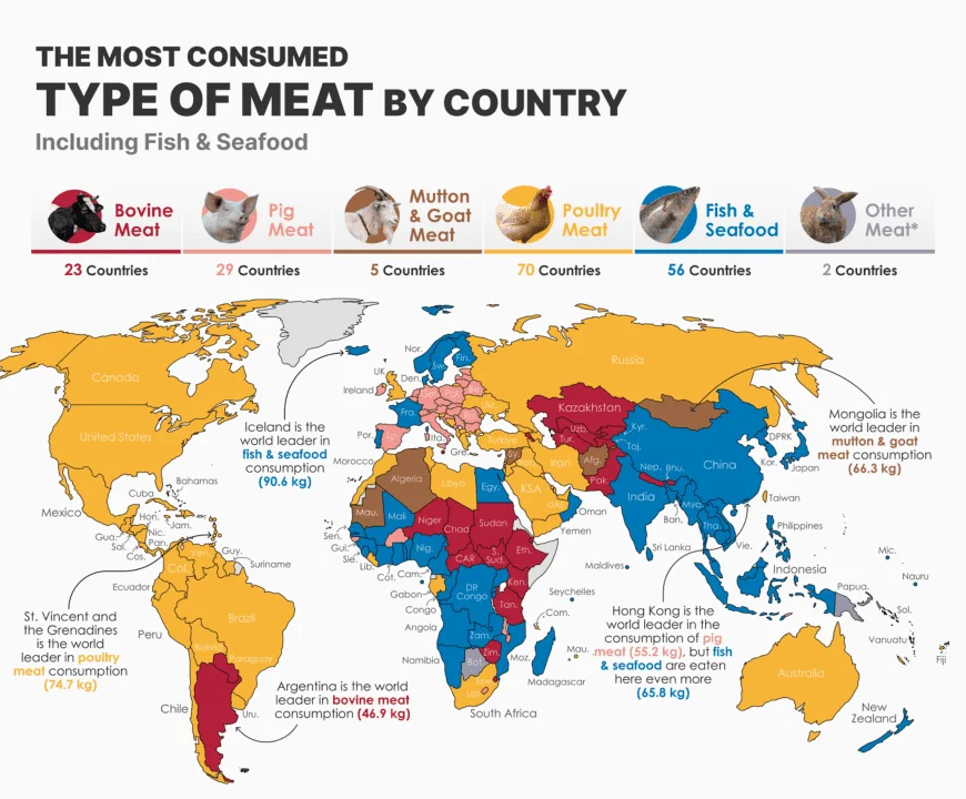 Most Meat Consumption By Country and Type