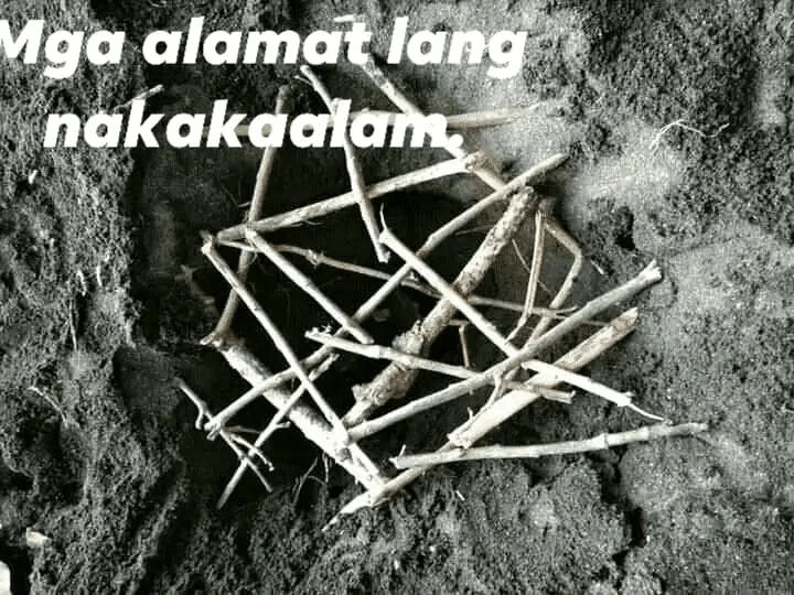 1689680149754.webp