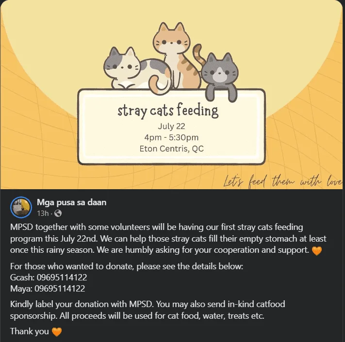 Mga pusa sa daan