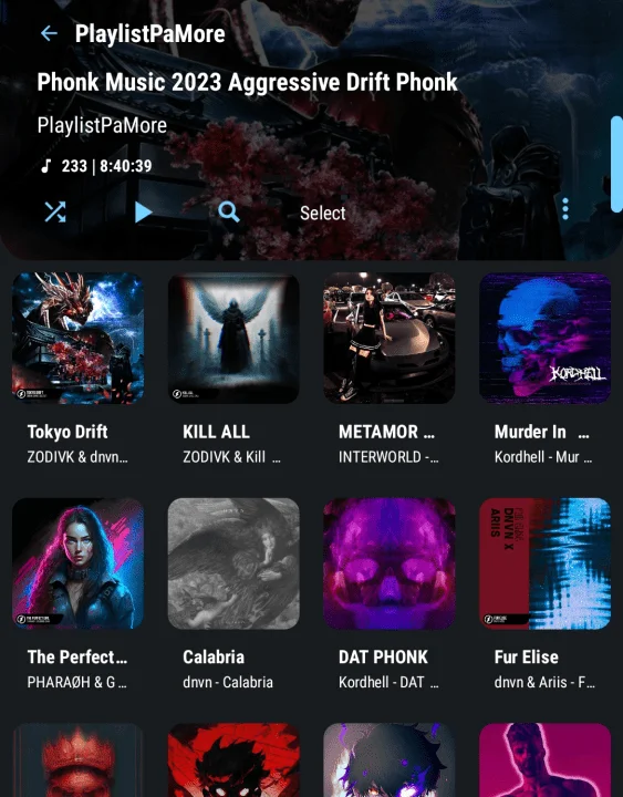 Screenshot_20230724_174222_Poweramp.webp