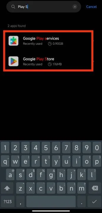 Play Store Services.jpg