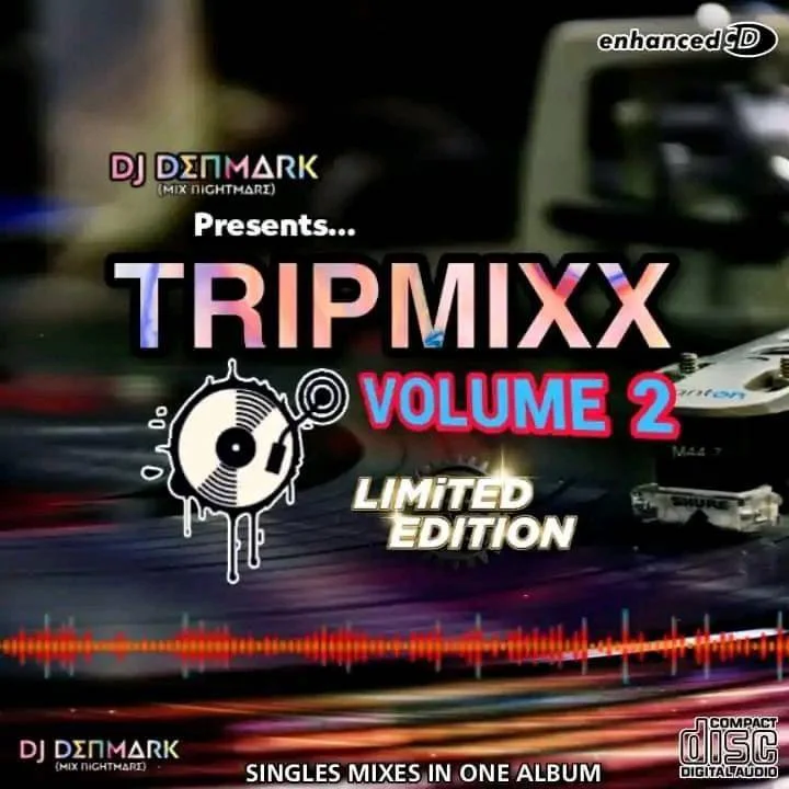 Dj Denmark TRIPMIXX Volume 2 (Singles Edition)