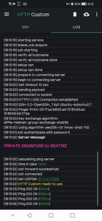 Screenshot_20230728_181327_xyz.easypro.httpcustom.webp