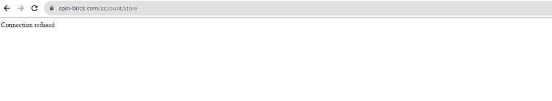 coinbirds.webp