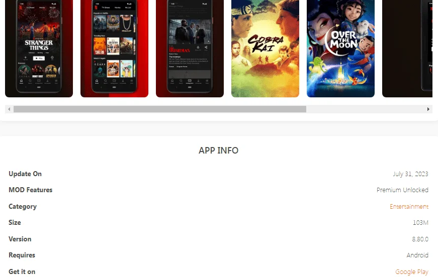 netmod.webp