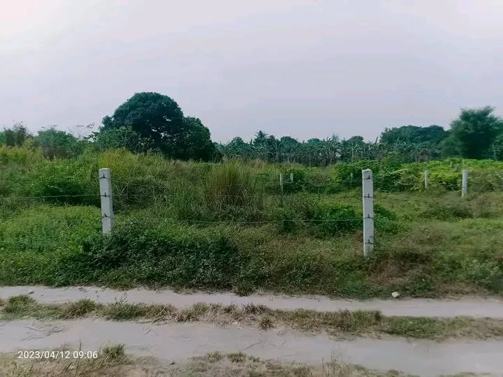 1690860949197.webp