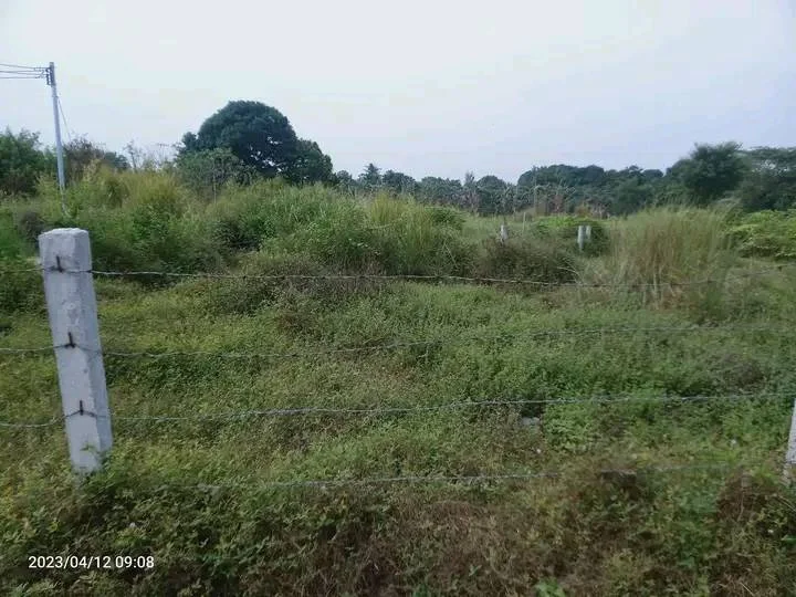 1690860943806.webp