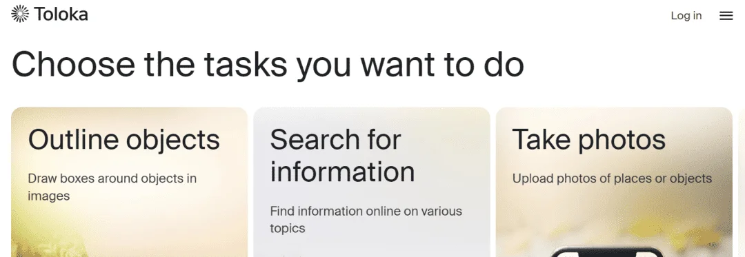 Toloka_1.PNG