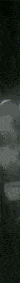 ezgif.com-crop (6).gif