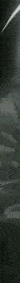 ezgif.com-crop (7).gif