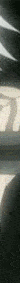 ezgif.com-crop (16).gif