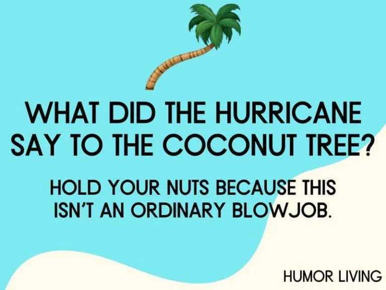 ãdül†-jokes-hurricane-coconut-tree-768x576.webp