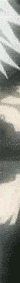 ezgif.com-crop (15).gif