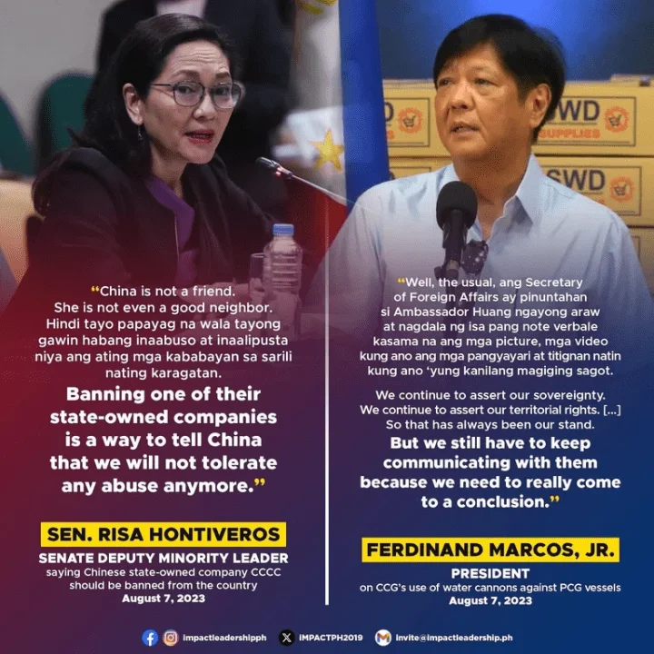 HONTIVEROS: BAN CHINA STATE-OWNED COMPANY AND SUBSIDIARIES IN THE PH